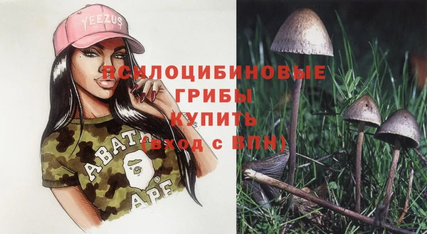 хмурый Нефтегорск