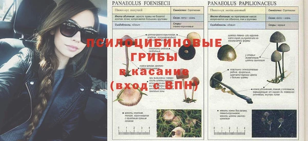 мдпв Новокубанск