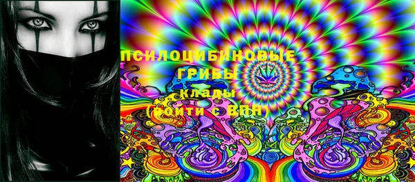спайс Данков